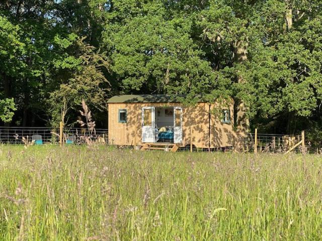 Coachroad Shepherds Huts Petworth Exterior foto